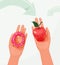 Choice food concept between healthy and unhealthy vector background. Woman hands holding red apple and sweet donut in