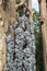 Choir of Survivors Statue at Coventry Cathedral