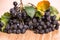 Choke-berry (aronia) - branch with berries