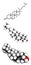 Cholesterol, molecular model