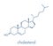 Cholesterol molecule. Essential component of cell membranes and precursor of steroid hormones, bile acids and vitamin D. Skeletal.