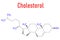 Cholesterol molecule. Skeletal formula. Cemical structure. Vector illustration