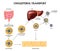 Cholesterol Transport Concept