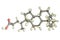 Cholic acid molecule