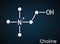 Choline,  C5H14NO+ , vitamin-like essential nutrien molecule. It is a constituent of lecithin. Skeletal chemical formula