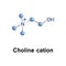 Choline cation molecule