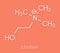 Choline essential nutrient molecule. Skeletal formula.