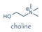 Choline essential nutrient molecule. Skeletal formula.