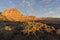 Cholla Cactus and Sandstone Peaks Morning at Red Rock Canyon Nevada