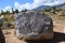 Cholpon Ata petroglyphs, Issyk Kul, Kyrgyzstan