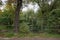 Chomutov, Czech republic - September 24, 2019: little gate near Chomutovka river in autumnal morning