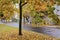 Chomutov, Czech republic - September 25, 2019: big colored autumnal tree in centre of city during rainy day