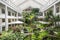 Chon Buri, Thailand March 28,2015 : tropical garden luxury indoor green house garden at Dusit Thaini Pattaya, Thailand