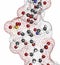 Chondroitin sulphate (short fragment). Important component of cartilage. Used as dietary supplement in treatment of osteoarthritis