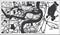 Chongqing China City Map in Black and White Color in Retro Style. Outline Map