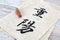 Chongyang two-character Chinese calligraphy and stone seal.The Chinese meaning in the picture is `Double Ninth Festival`