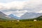 Chooms of the nomadic reindeer herders, Yamal