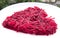 Chopped Beetroot in a plate to cook