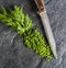 Chopped bunch of fresh dill on a black stone background.