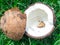 Chopped coconut with milk coconut halves in the shape of a heart from bark on a grass