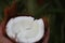 Chopped coconut with white tender flesh