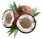 Chopped coconuts with leaves on white background.