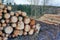 Chopped firewood and logs stacked together in a storage pile in a lumberyard. Wooden background with texture and