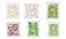 Chopped Frozen Vegetables and Greenery Stored in Plastic Packages Vector Set