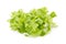 Chopped oakleaf lettuce on White Background