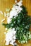 chopped onion on a wooden cutting board, top view, close-up