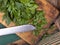 Chopped parsley on a chopping board