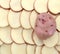 Chopped potatoes background