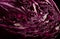 Chopped red cabbage slice diet. Generate Ai