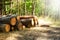 Chopped tree logs stacked in a pile