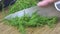 Chopping fresh dill on a cutting board