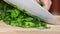 Chopping fresh green parsley with kitchen knife