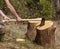 Chopping logs