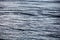 Choppy waves on the surface on the deep sea in the Adriatic