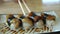 Chopsticks eating Sea eel and foie gras nigiri sushi Japanese fushion plate