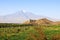 Chor Virap monastery in front of mount Ararat, Ararat province, Armenia