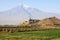 Chor Virap monastery in front of mount Ararat, Ararat province, Armenia