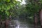 Choral River and  Submerged Tree in the Forest at Omkareshwar National Park