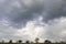 A choreographic and apocalyptic sky with beautiful clouds and in the distance the silhouette of small trees