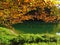 Choret lake in Hyrcanian forests of Iran during Autumn