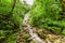 Chorro el Macho, a waterfall in El Valle de Anton