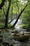 Choshi falls of Oirase mountain stream