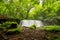 Choshi Waterfall plunges gracefully into the Oirase Stream, enveloped by Aomori\\\'s dense, verdant forest.