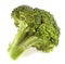 CHOU BROCOLI