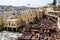 Chouara Tannery in Morocco, with round stone vessels for dyeing and softening leather in Fez el Bali