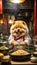 Chow Chow Chef: Witness Culinary Magic as the Fluffy Maestro Rules the Kitchen